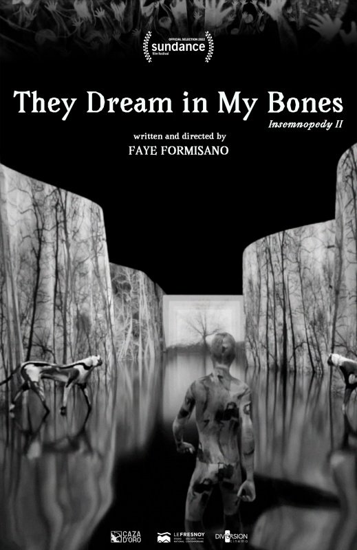 XRMust_DreamingInMyBones_poster.jpg